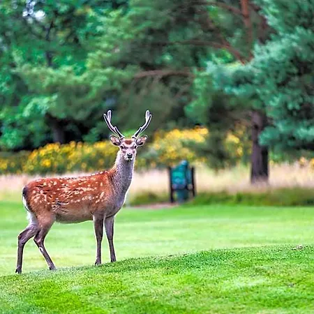 Tulfarris And Golf 4* Wicklow